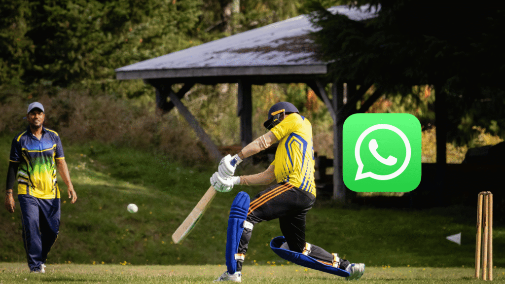 A Beginner's Guide to Online Cricket Betting With New Cricket ID