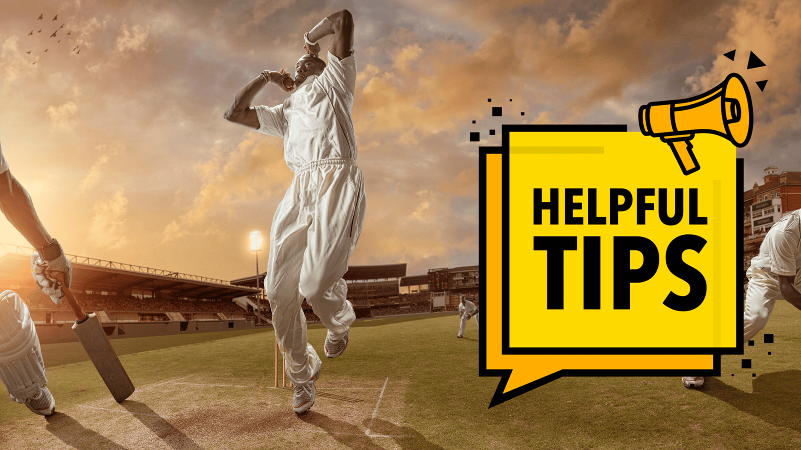 Online Cricket Betting Tips for Beginners: How to Get Started