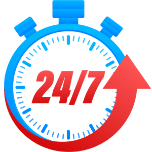 247 access to IPL betting platforms (1)